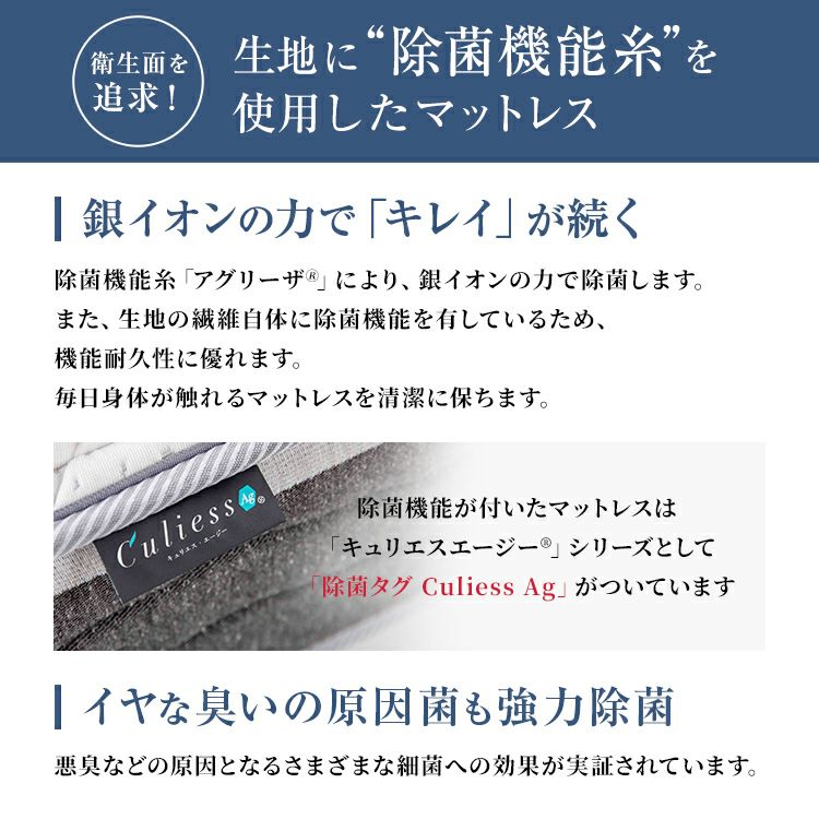 展示アウトレット品 FranceBeD LT-9900 マットレス セミダブル フランスベッド マットレス セミダブル LT-9900PW ミディアム