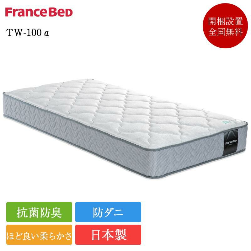 【使用期間9ヶ月】フランスベッド　セミダブル　TW-100 フランスベッド マットレス TW-100 【公式通販】