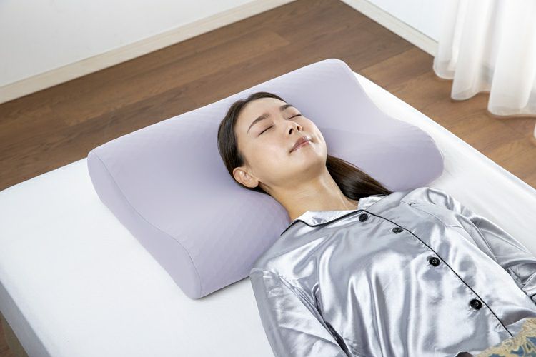 フランスベッド 快眠枕 ズカンピロー 専用カバー付 正規販売
