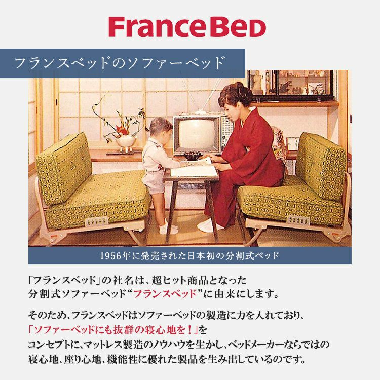新作 フランスベッド ソファーベッド エリーダ EL-01 | 正規品