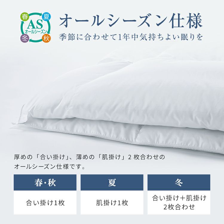 フランスベッド 羽毛布団 CS-01 ダック AS オールシーズン タイプ