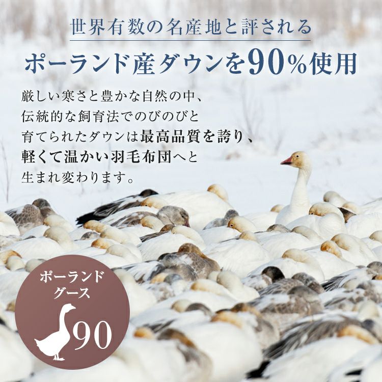フランスベッド 羽毛布団 AS-DLQ-90 | 正規品 羽毛ふとん ポーランド産